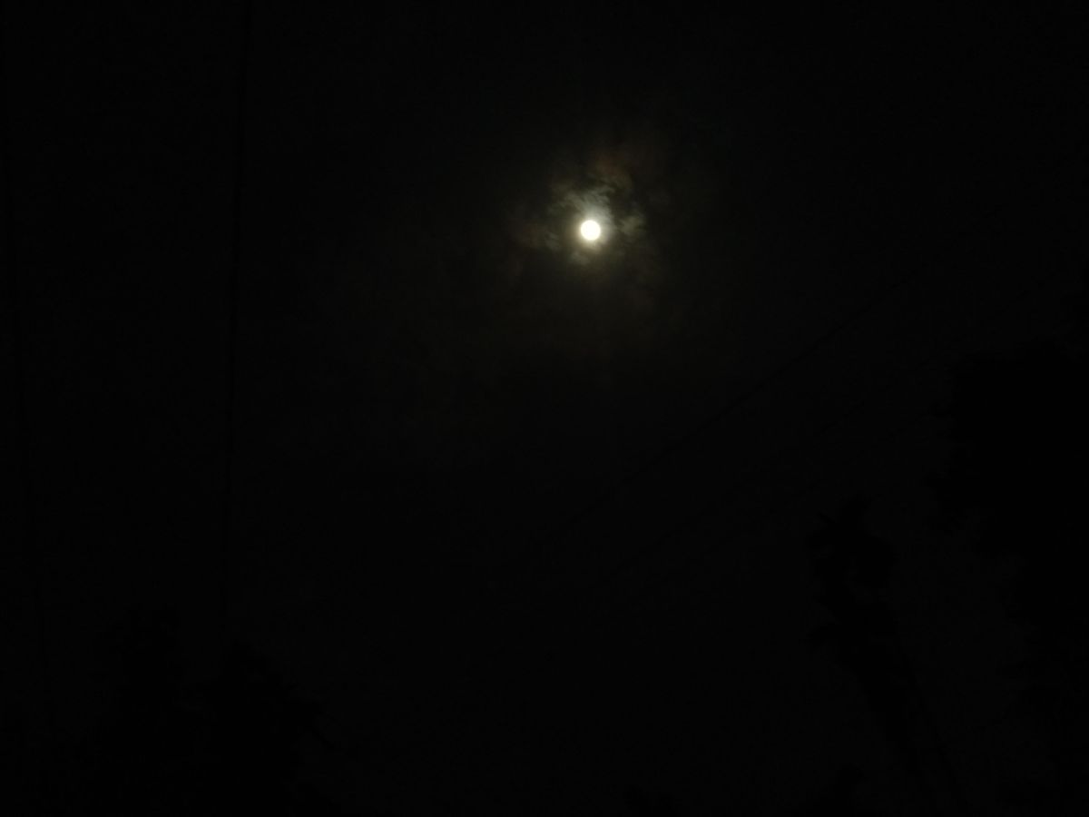 চন্দ্রগ্রস্থ